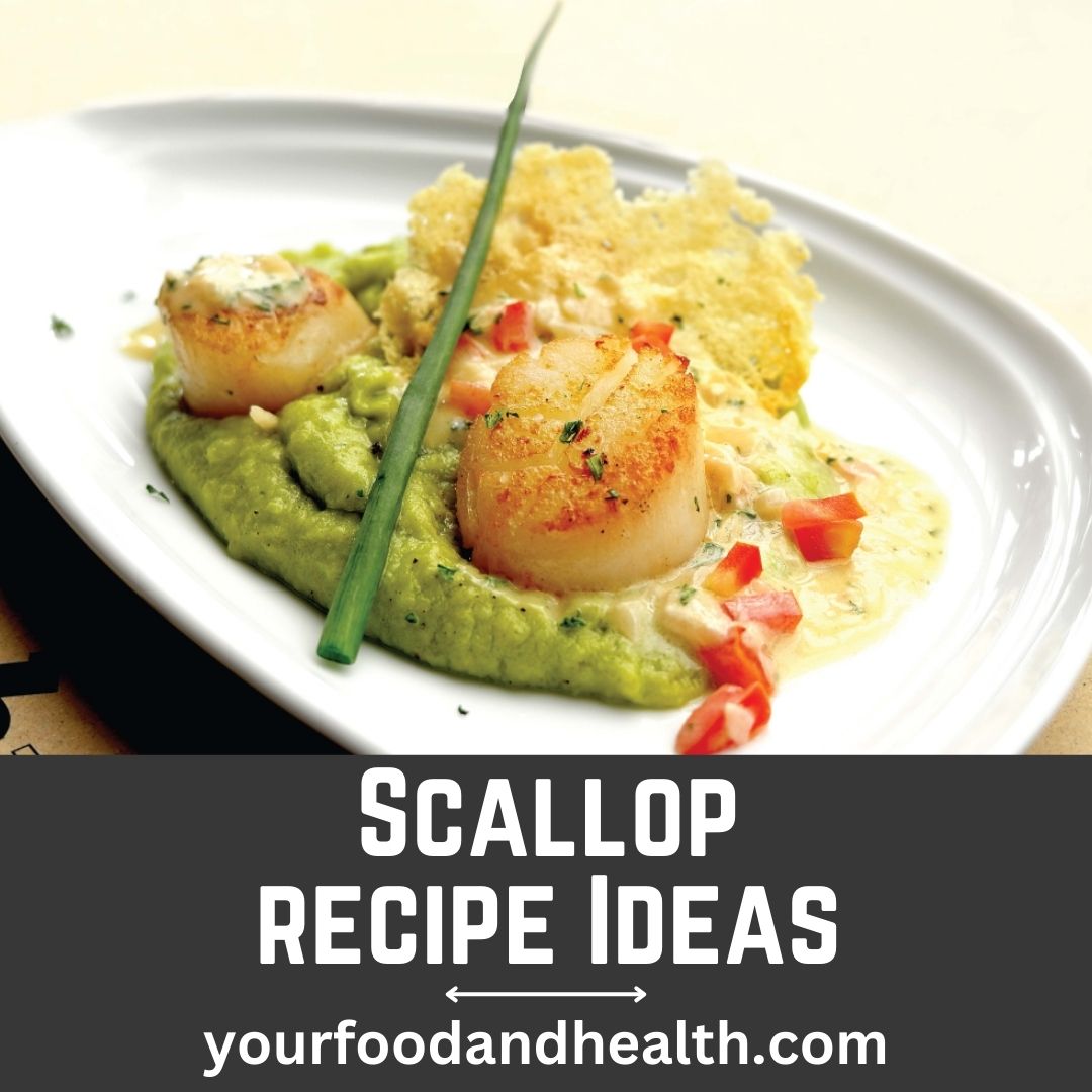 Scallop recipes