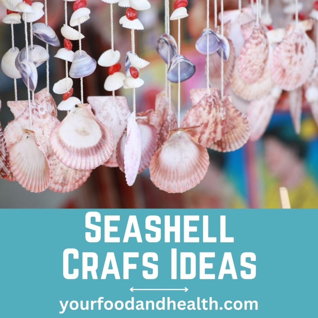 Seashell Crafs